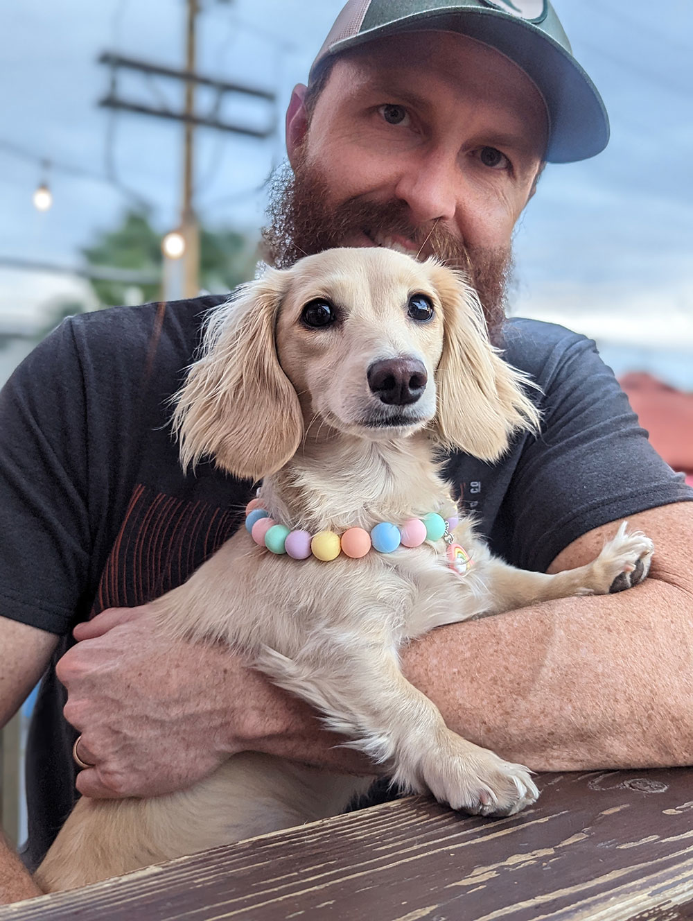 The Doxie Whisperer